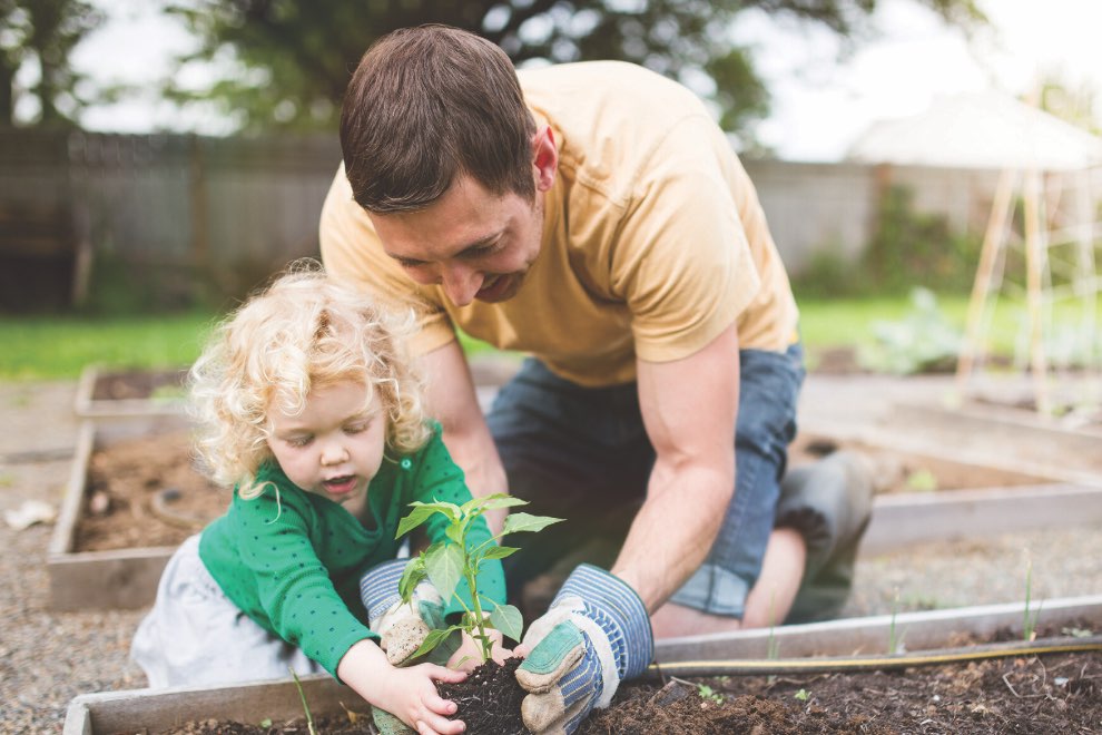 Man putting plant in soil with toddler